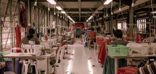 銷售新紀元 瓴羊如何破局“數(shù)據(jù)孤島”與“系統(tǒng)林立”之困